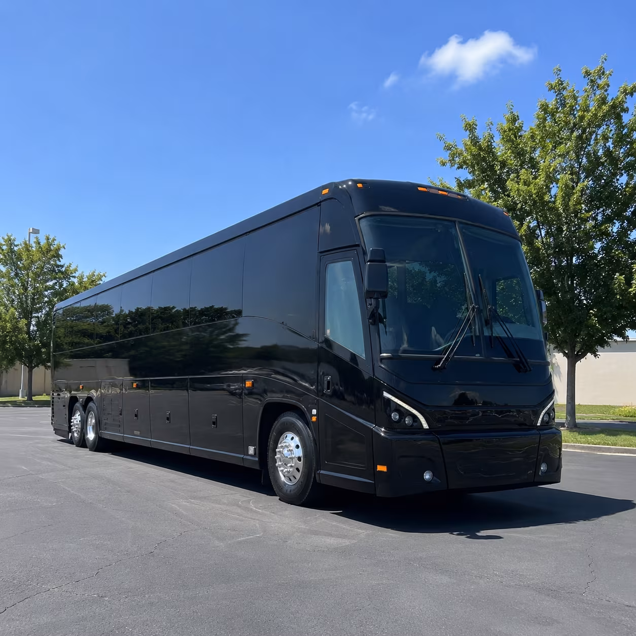 a direct charter bus from livonia to chicago cleveland or indianapolis